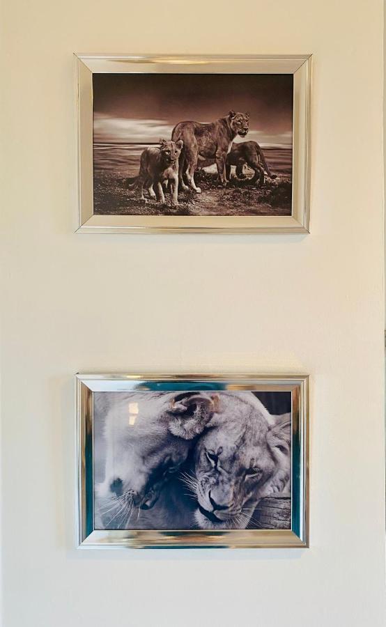 The Sleeping Lion - Dunoon Holiday Home エクステリア 写真